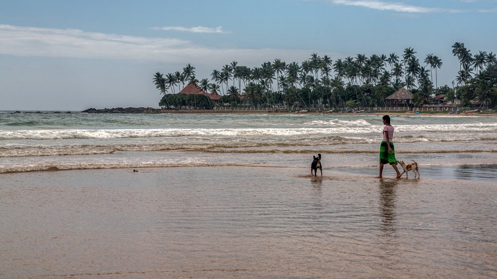 Photograph by Сергей Милицкий