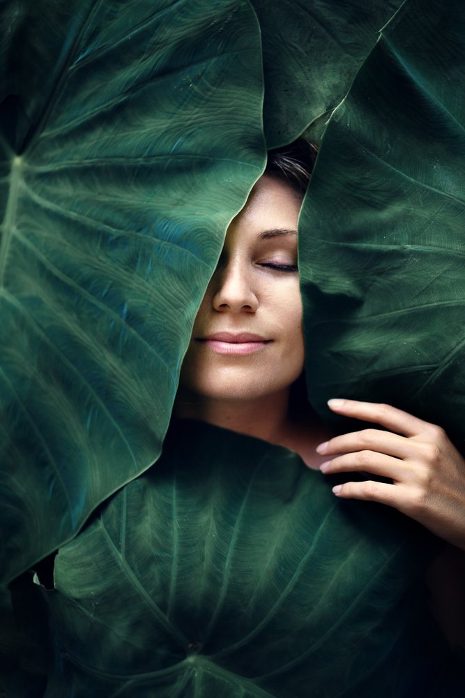 Фотография автора Дмитрий Шешуков