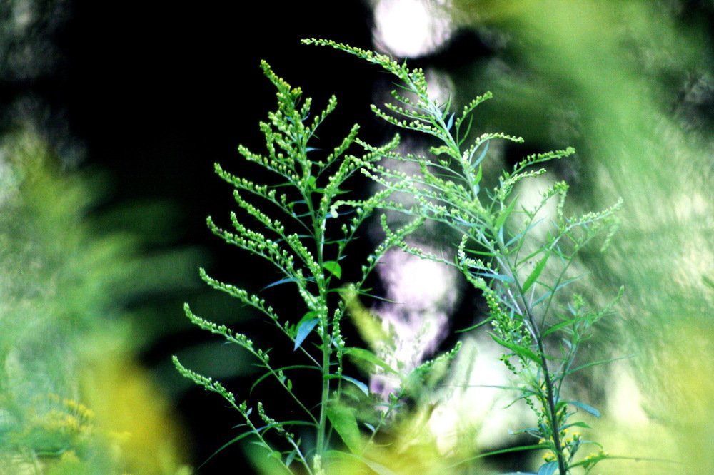 Photograph by Вадим Беляев