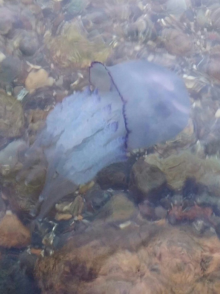 Photograph by Мила