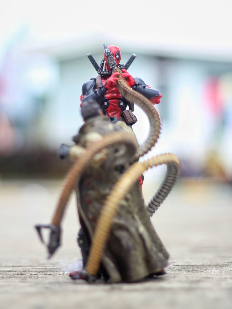 Фотография автора Y.P Agung