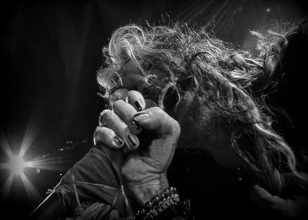 Стивен Тайлер (Aerosmith )