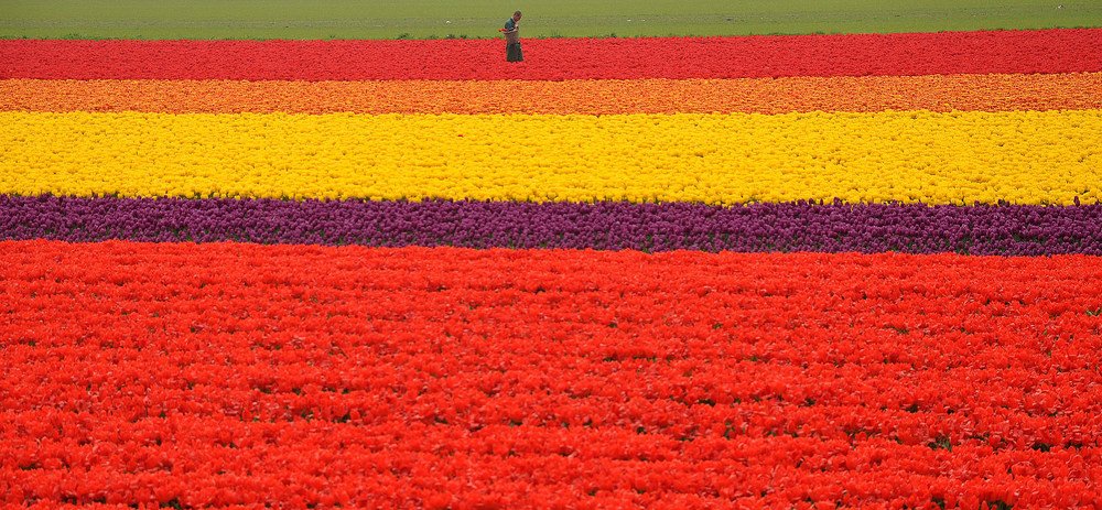 Красивая работа