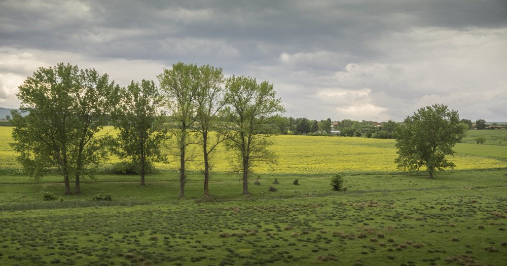Фотография автора Milena Ivanova
