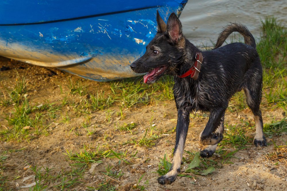 Photograph by Oana Goanga