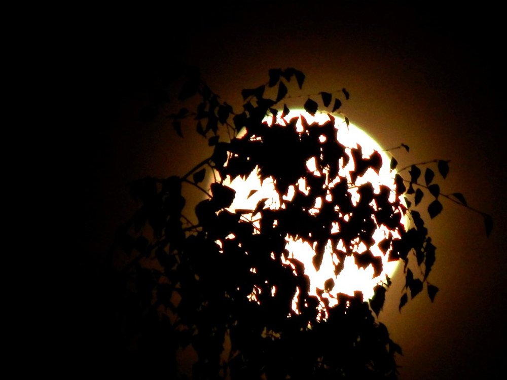 Photograph by Ирина Самойленко