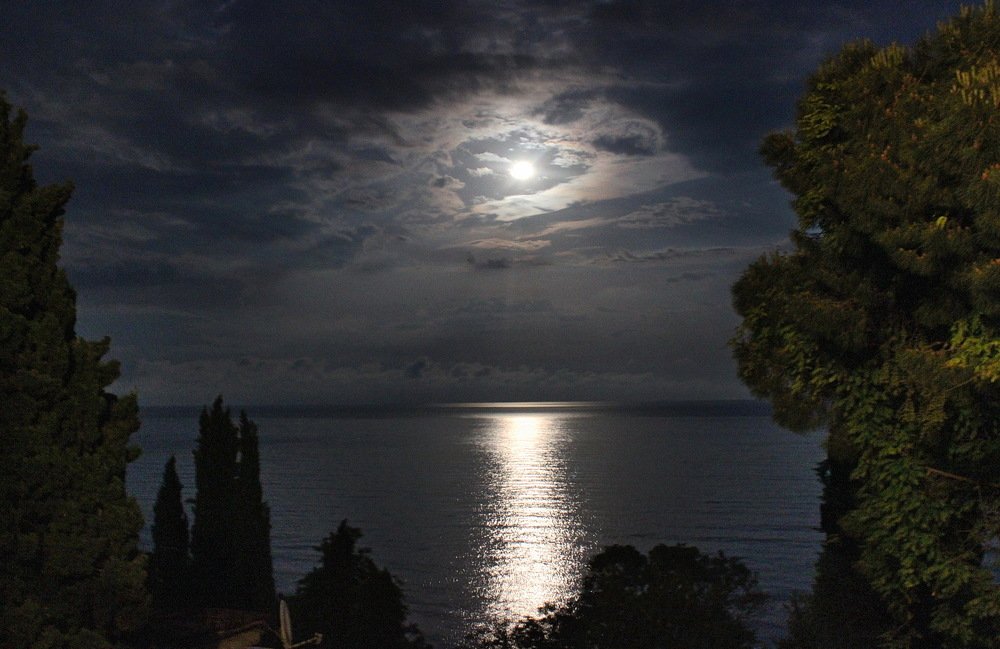 Очарование южной ночи. Крым.