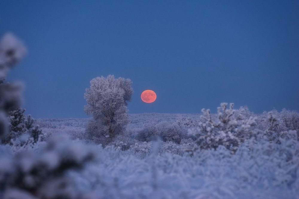 Photograph by Устюжанин Михаил