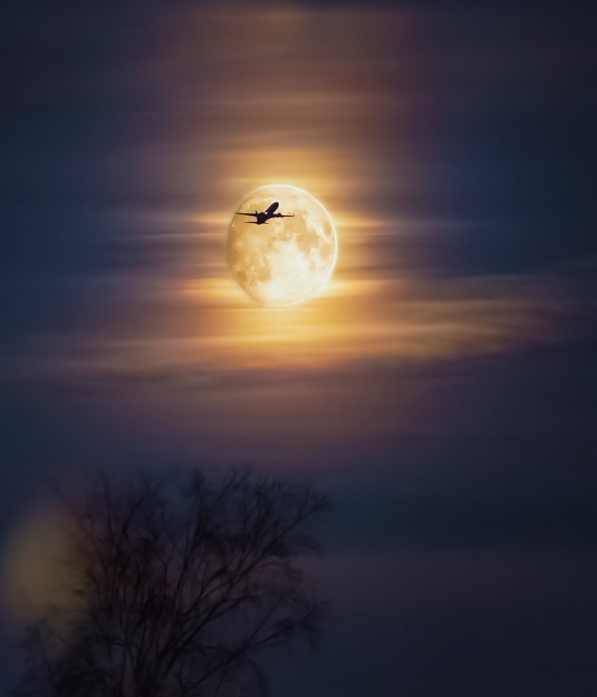 Photograph by Владимир Колесников