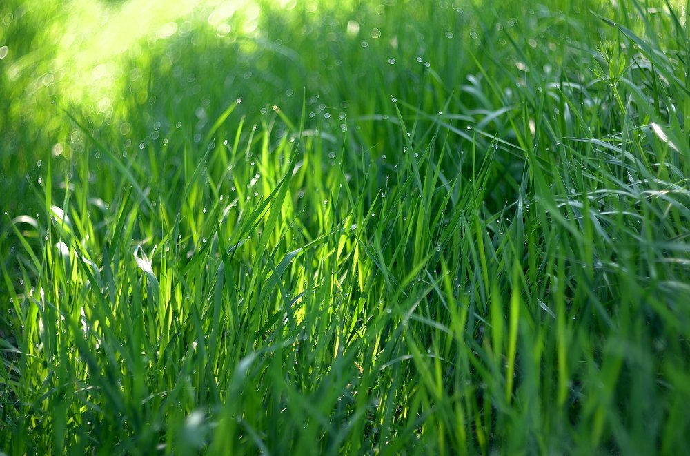 Photograph by Юрий Долдин