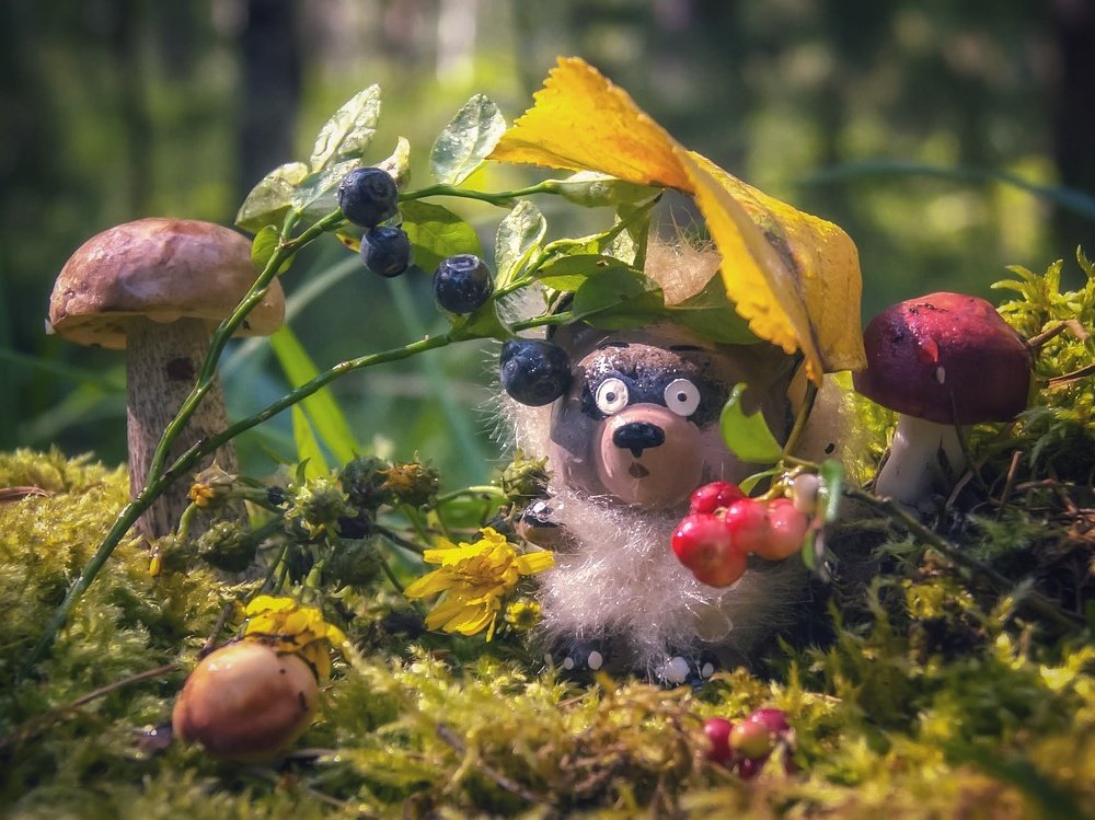 Photograph by Светлана Лехмус