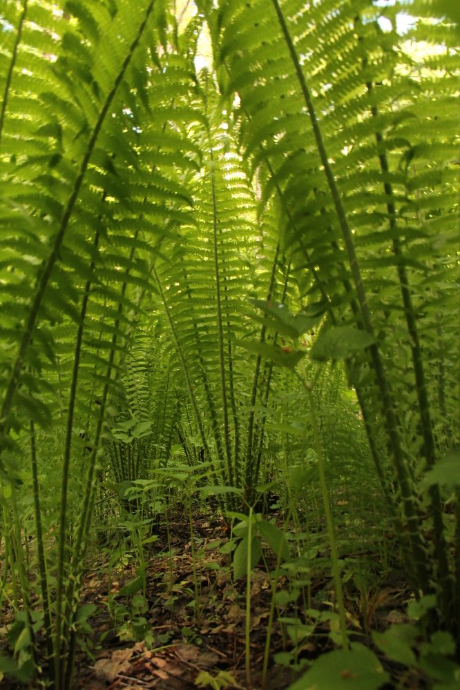 Photograph by Игорь Улитин