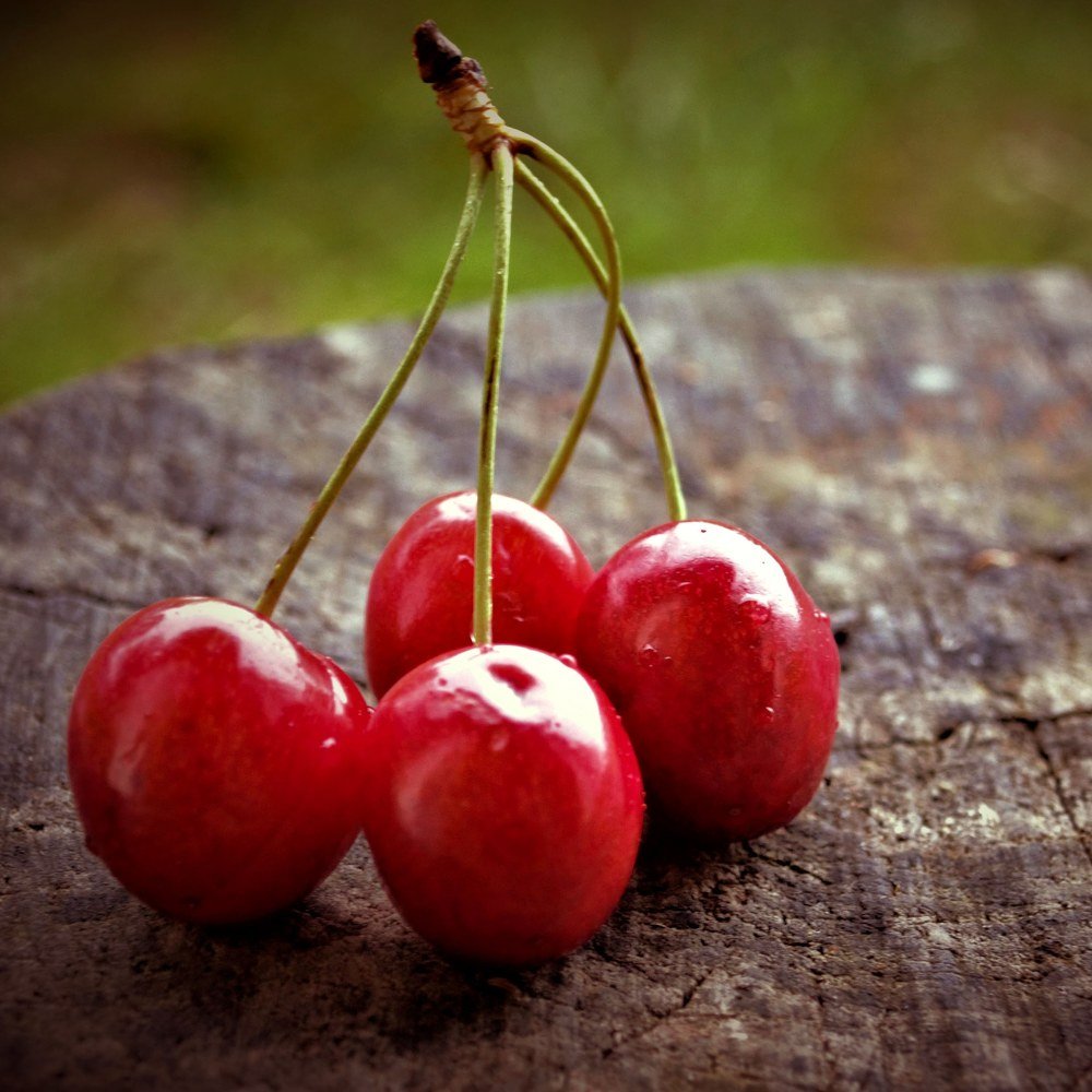 Photograph by Александра Коновалова