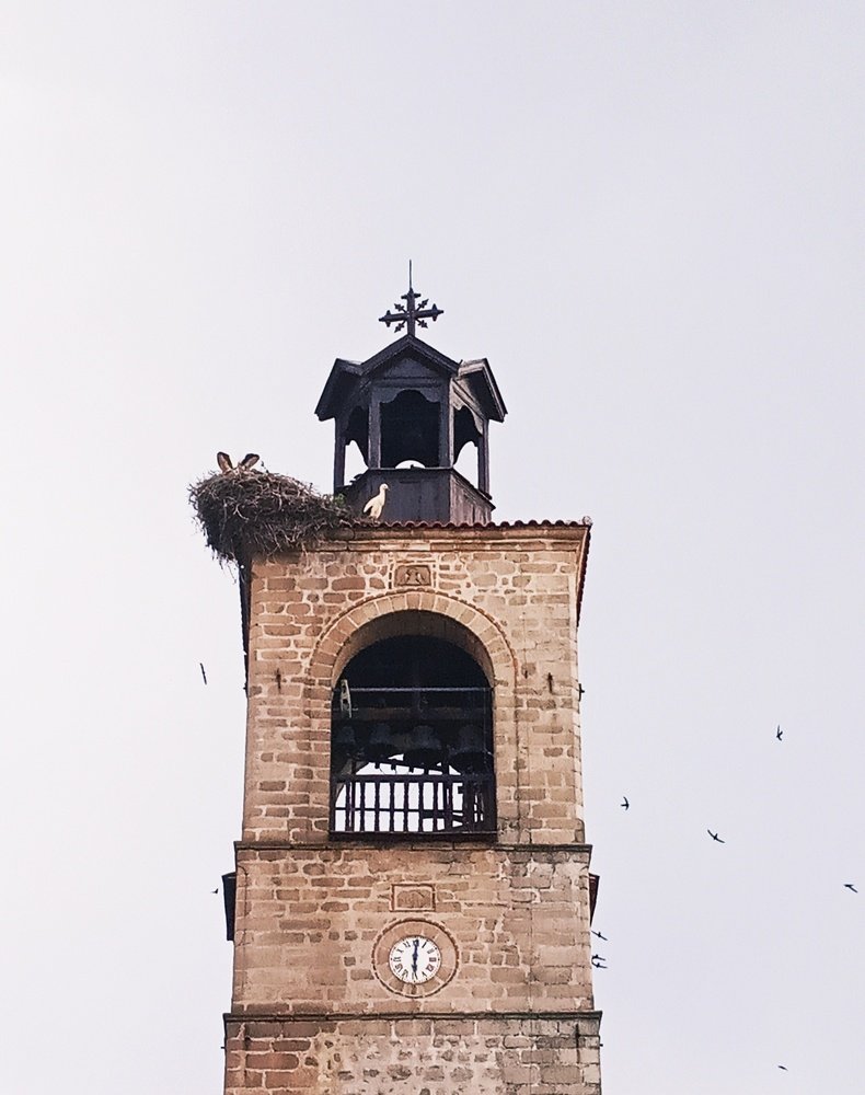 Photo #3705818