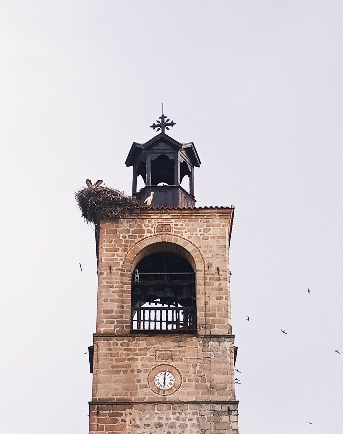 Photo #3705818