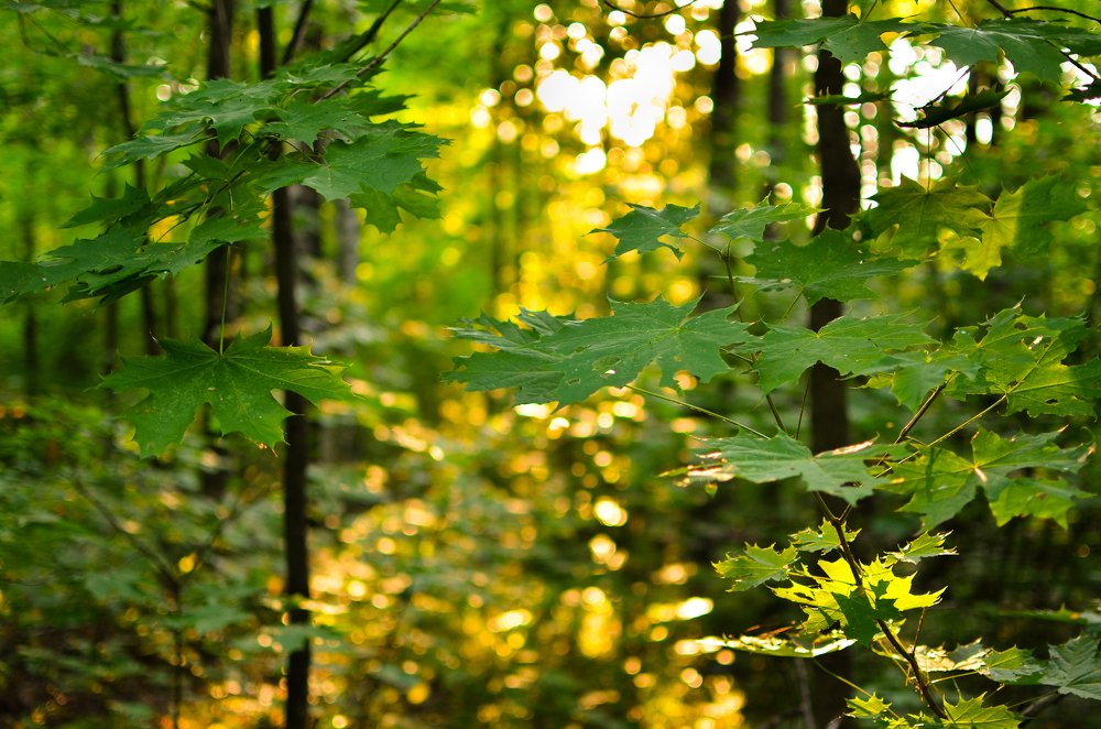 Photograph by Олег Титкин