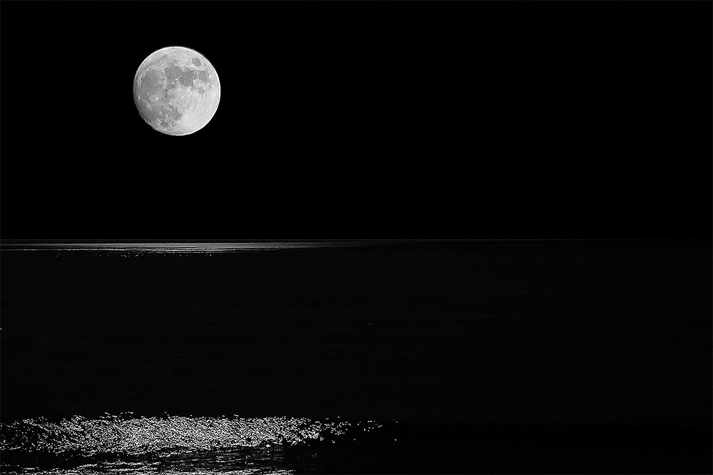 Photograph by Nuno Botelho