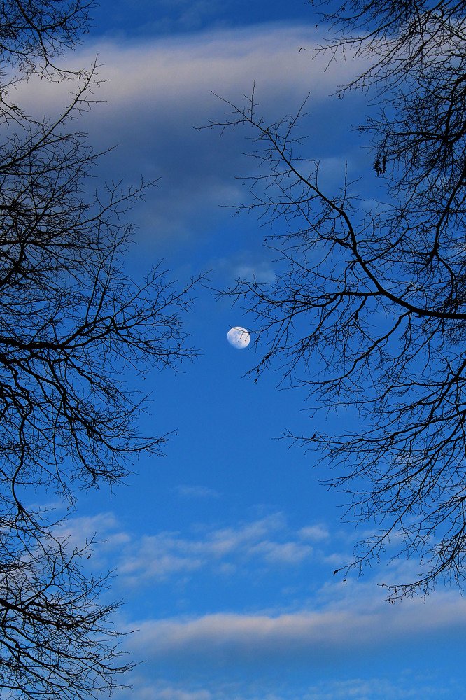 Photograph by 