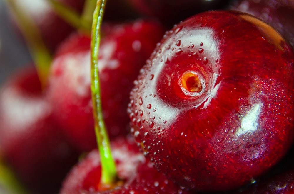 Фотография автора Майя Афзаал