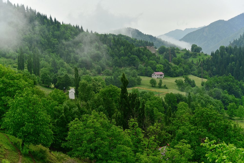 Photograph by Malgorzata Lukowiak