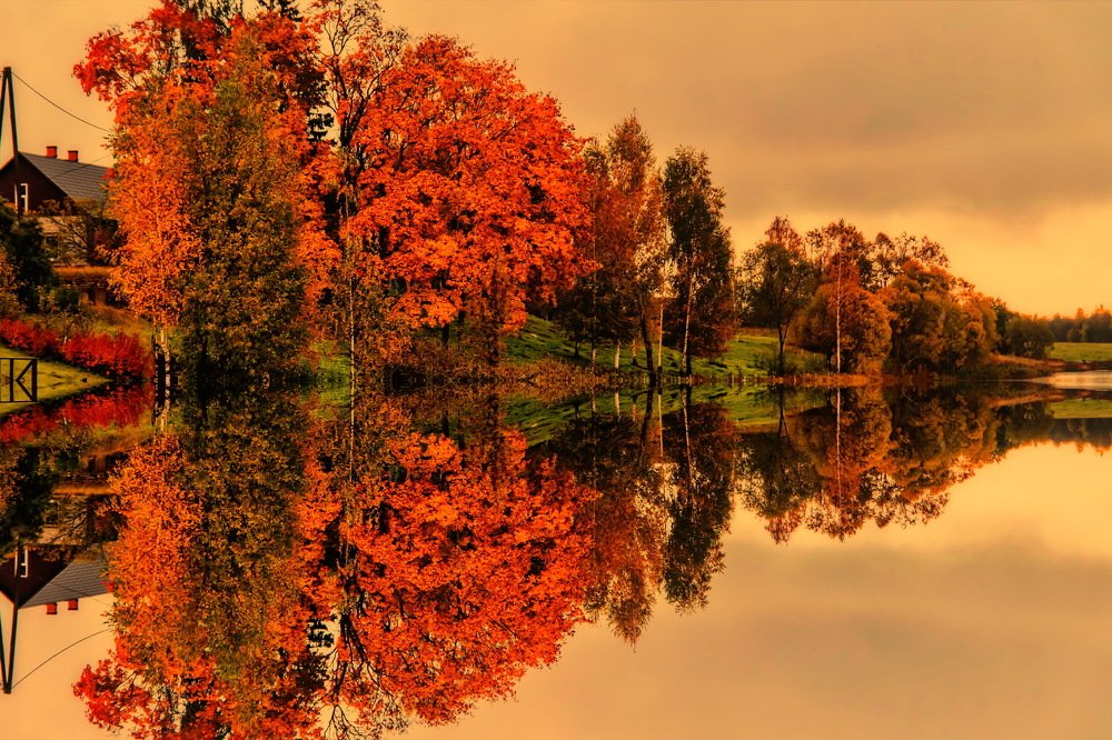 Photograph by Gaļina