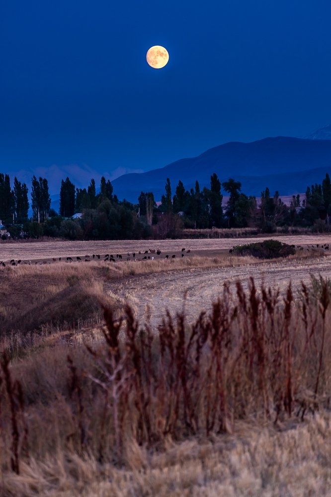 Photograph by Василий Бережной