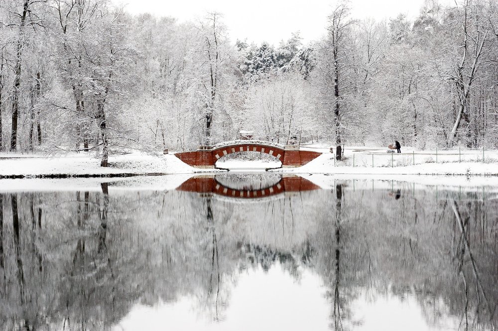 Photograph by Данил Луговой