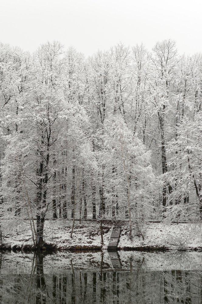 Photograph by Данил Луговой