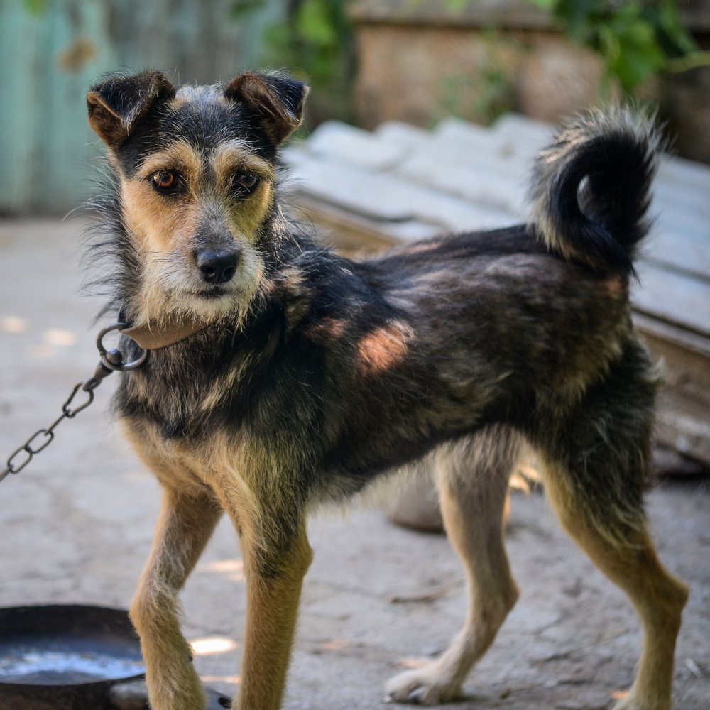 Photograph by Юрий Долдин