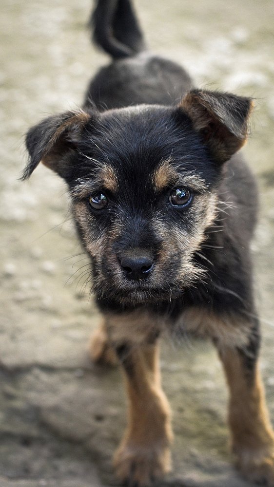 Photograph by Юрий Долдин