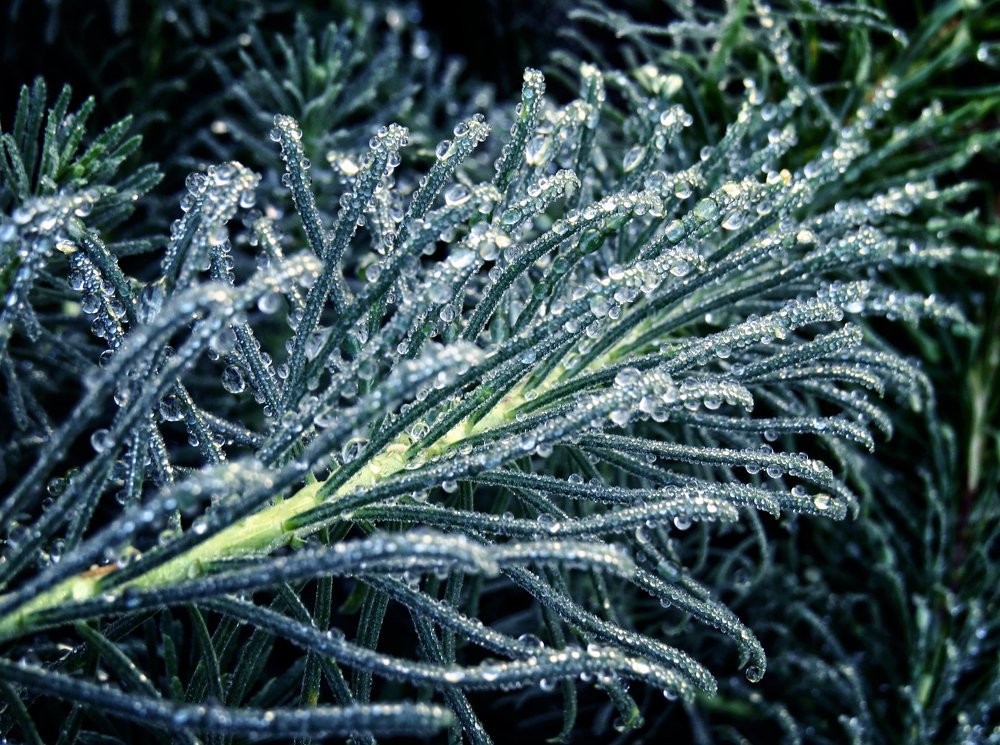 Photograph by Наташа Фишер