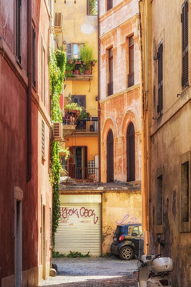 Summer is a small life