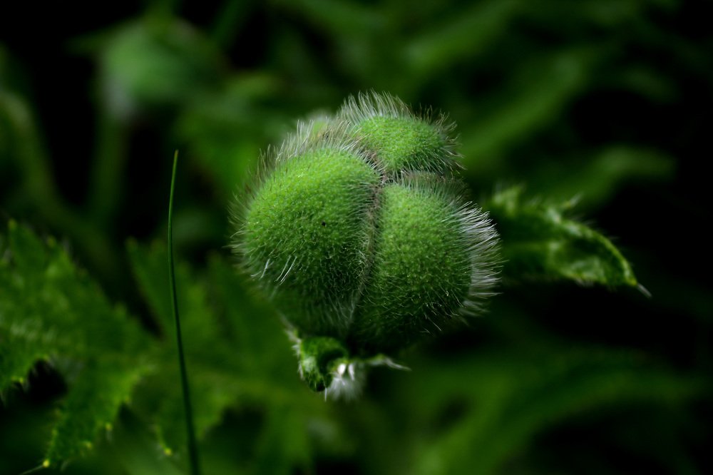 Фотография автора Владислава Андрюнина