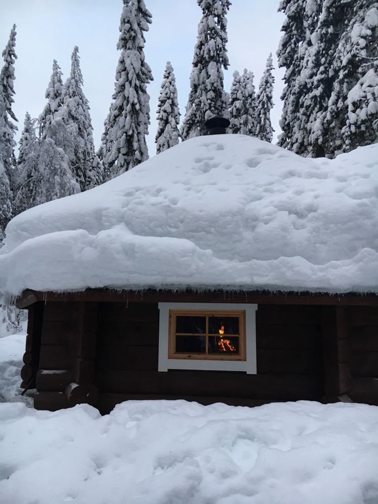 У леса на опушке жила зима в избушке