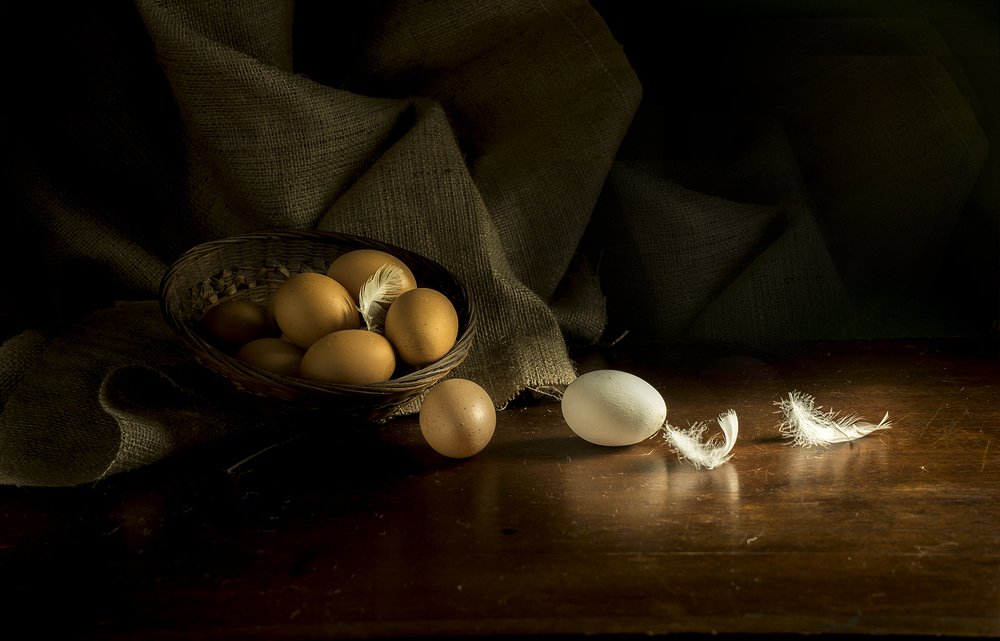 Photograph by Diana Petracci