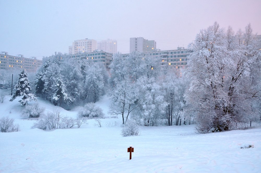 Фотография автора Коротков Алексей