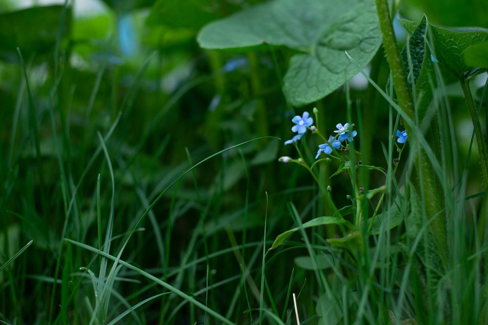 Photograph by Фарида Рахимова
