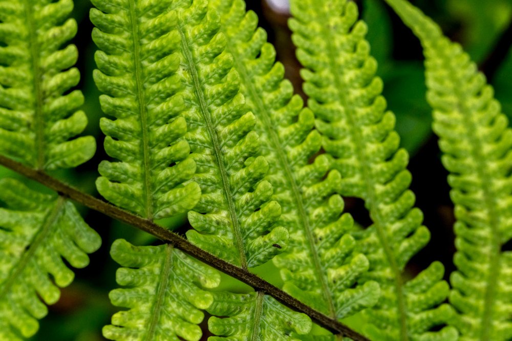 Photograph by Vinod Kumar Kulkarni