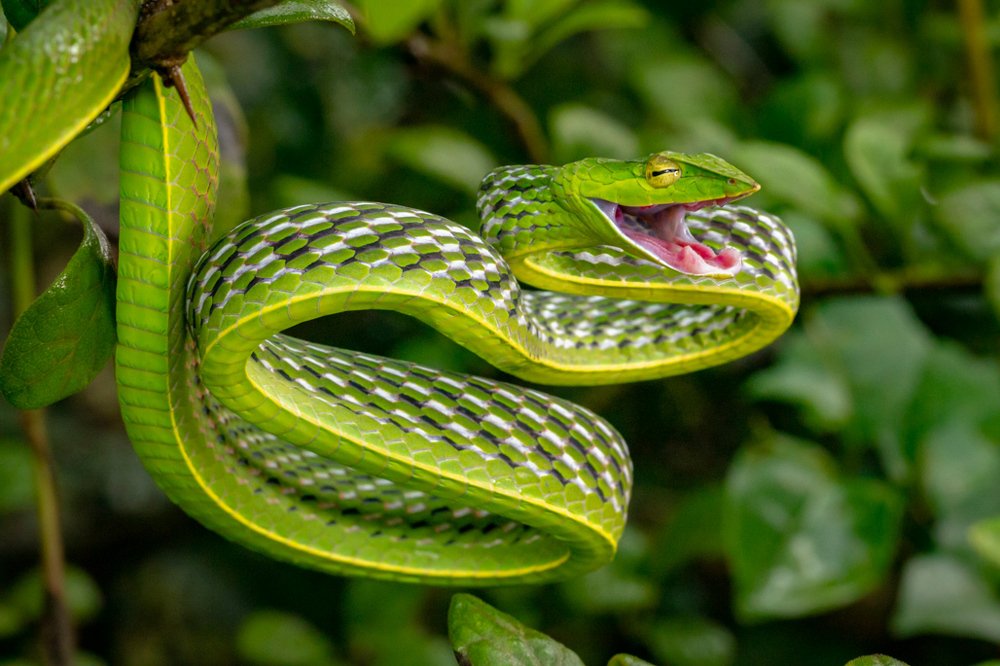 Photograph by Vinod Kumar Kulkarni