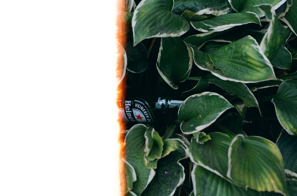 Photograph by Павел Бенедиктов