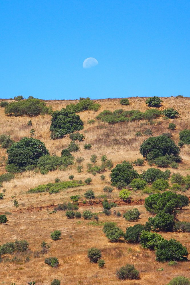 Photograph by Michael