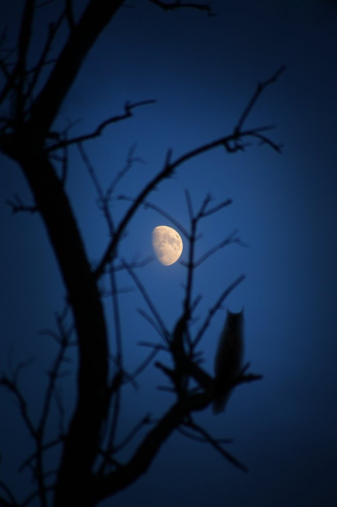 Photograph by Наталья Жалнина