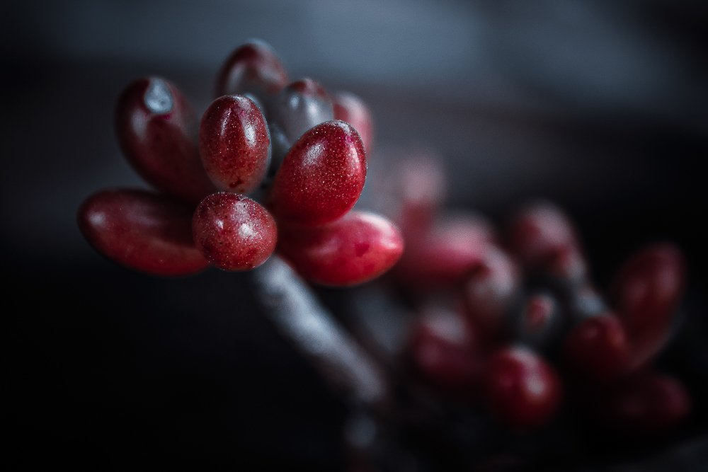 Photograph by Rodrigo Silveira