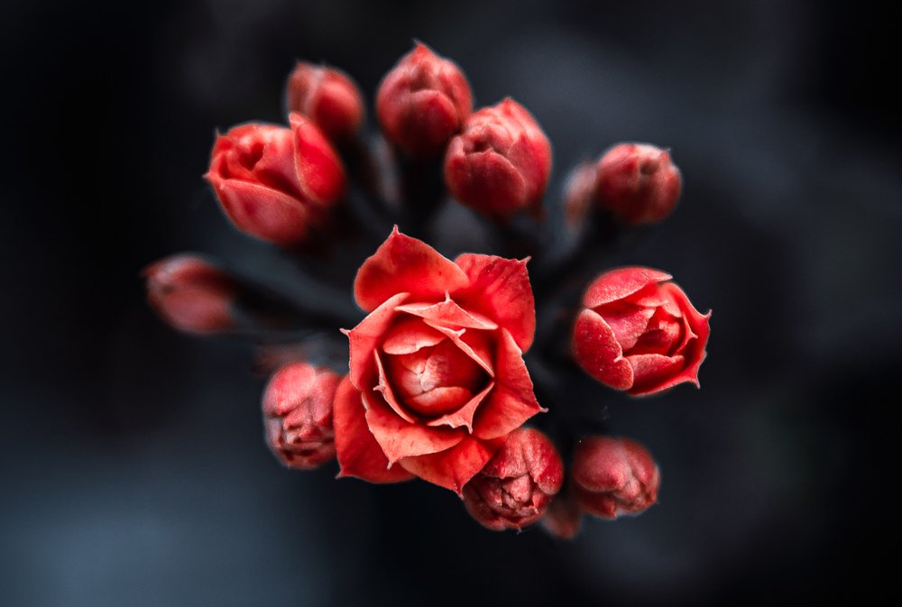 Photograph by Rodrigo Silveira