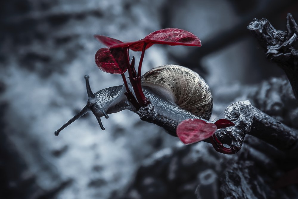 Photograph by Rodrigo Silveira