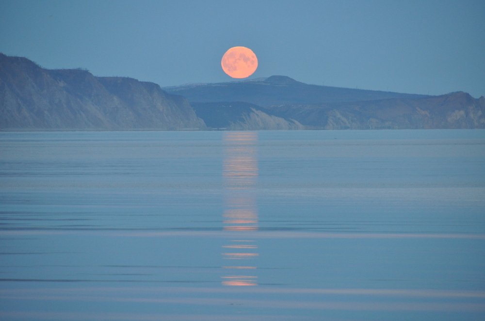 Photograph by Евгений Захаров