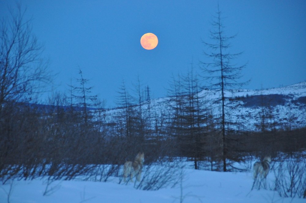 Photograph by Евгений Захаров