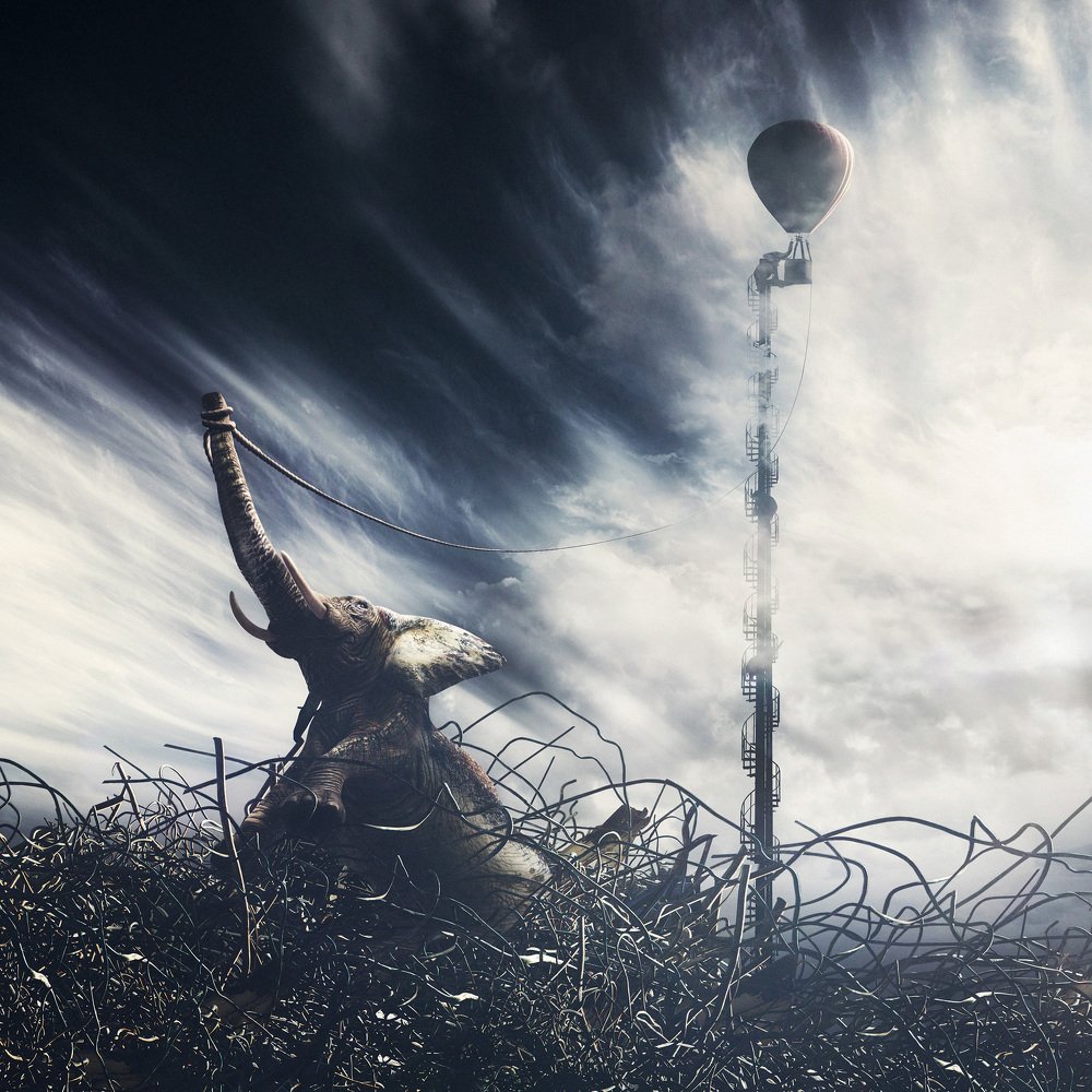 Photograph by KAWAKAMI KAZUTOSHI