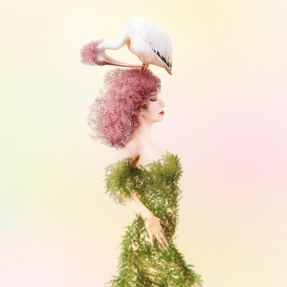 Photograph by KAWAKAMI KAZUTOSHI