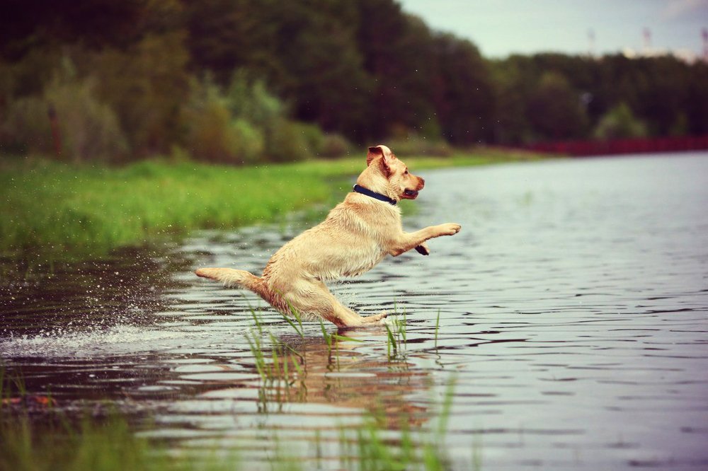 Photograph by Ашракаев Руслан